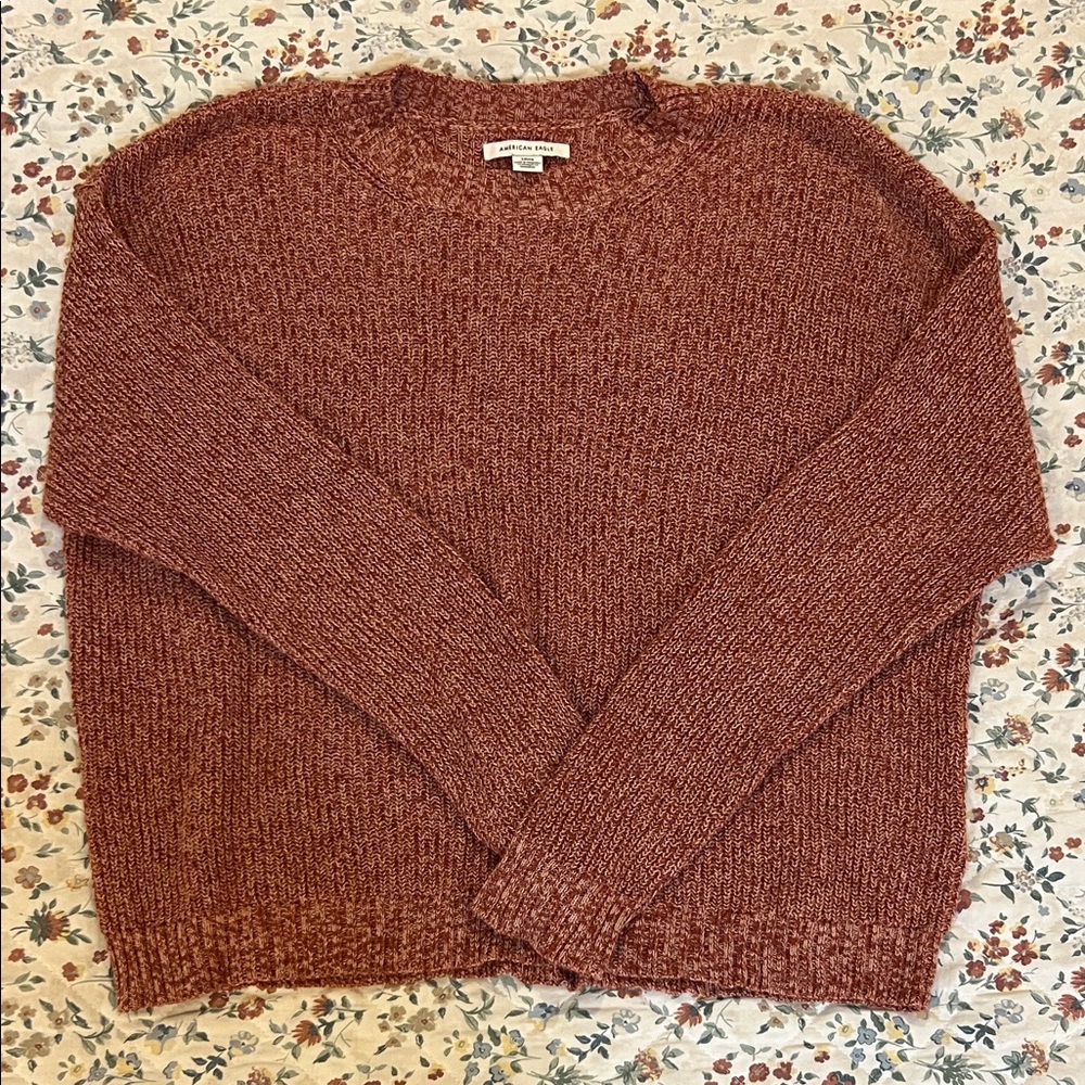 LAST CALL MAKE AN OFFER! American Eagle Sweater